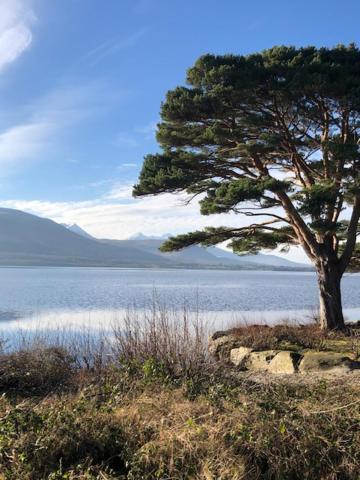 Crystal Springs Frühstückspension Killarney
